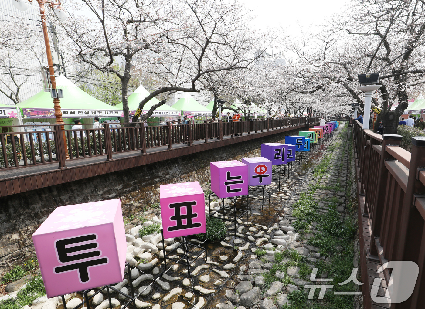 (창원=뉴스1) 윤일지 기자 = 27일 진해군항제가 열리고 있는 경남 창원 진해구 여좌천 로망스다리 인근에 6·3 지방선거를 앞두고 경남도선거관리위원회가 설치한 선거 참여 문구가 …