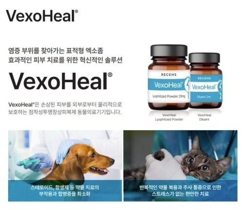 본문 이미지 - 스템엑소원이 개발한 줄기세포 엑소좀 기반 동물용 의료기기 벡소힐(VexoHeal) 소개(업체 제공) ⓒ 뉴스1