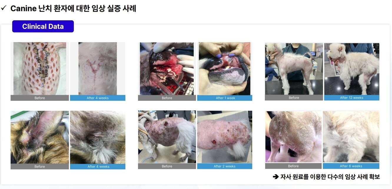 본문 이미지 - 벡소힐 임상 실증 사례(업체 제공) ⓒ 뉴스1