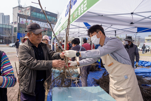 증평군, 식목일 맞이 내 나무 갖기 캠페인…유실수 1800그루 배부