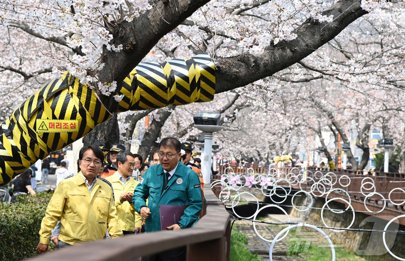 본문 이미지 - 김광용 행정안전부 재난안전관리본부장이 27일 경남 창원시 진해군항제 축제 현장을 방문해 안전관리 상황을 점검하고 있다. (행정안전부 제공. 재판매 및 DB 금지) 2026.3.27 ⓒ 뉴스1