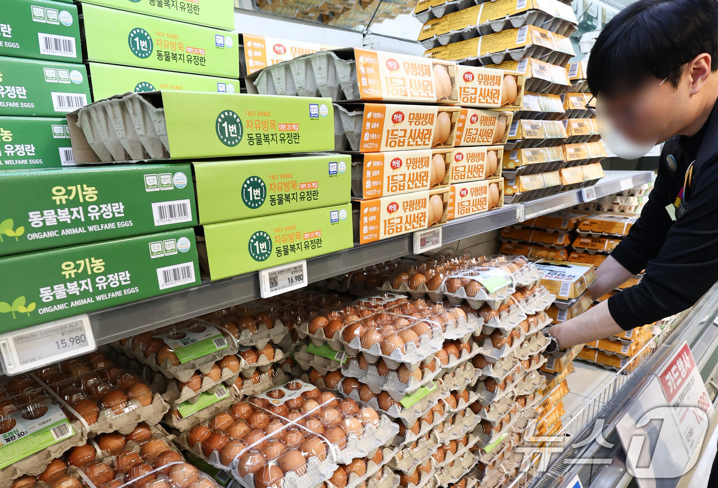 (서울=뉴스1) 최지환 기자 = 정부는 지난 26일 기존 돼지고기, 계란 등 물가 특별 관리 품목을 공산품 및 가공식품 전반으로 확대하고 43개 품목을 집중 관리하겠다고 밝혔다.사 …