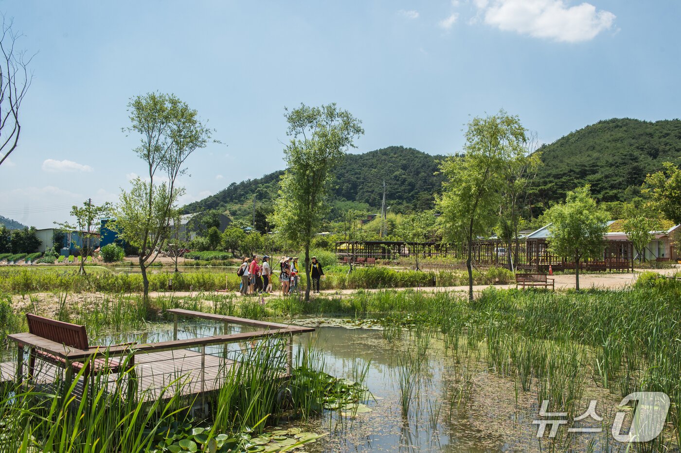 본문 이미지 - 김해 화포천 습지.(김해시 제공. 재판매 및 DB금지)