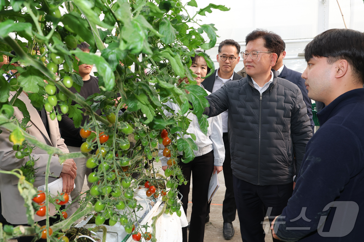 (서울=뉴스1) = 이승돈 농촌진흥청 청장이 27일 충남 부여군 시설 토마토 재배 농가에서 생육 상황을 점검하고 있다. (농촌진흥청 제공. 재판매 및 DB 금지) 2026.3.27 …