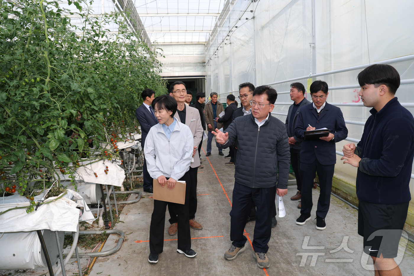 (서울=뉴스1) = 이승돈 농촌진흥청 청장이 27일 충남 부여군 시설 토마토 재배 농가에서 생육 상황을 점검하고 있다. (농촌진흥청 제공. 재판매 및 DB 금지) 2026.3.27 …