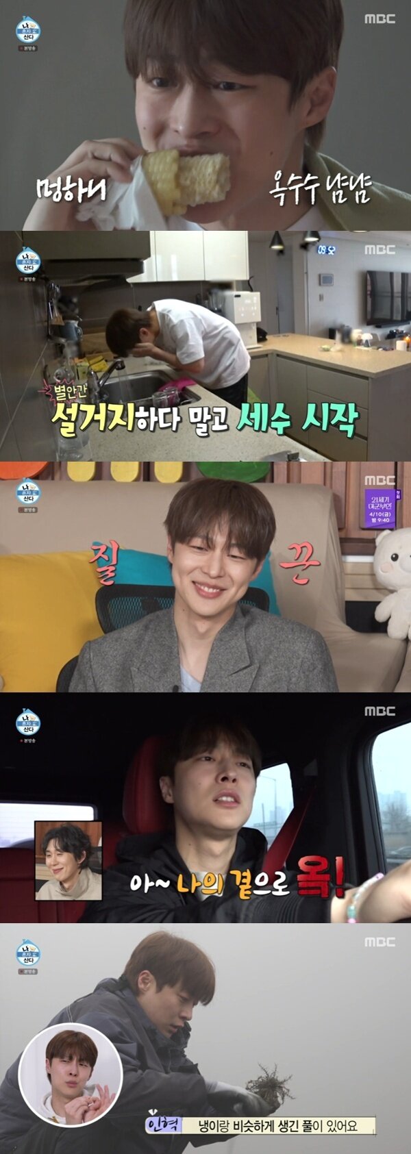 본문 이미지 - MBC '나 혼자 산다' 캡처