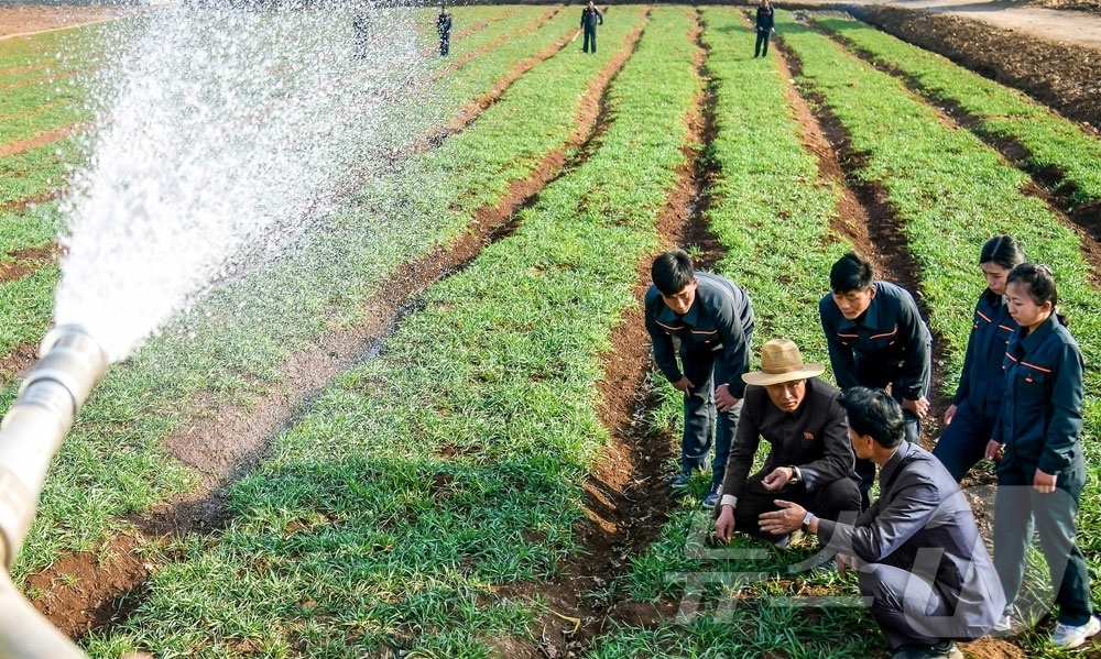 (평양 노동신문=뉴스1) = 북한 노동당 기관지 노동신문은 28일 평양 락랑구역 류소남새농장에서 가뭄에 따른 농작물 피해를 줄이기 위해 물주기 등 대책을 추진하고 있다고 보도했다. …