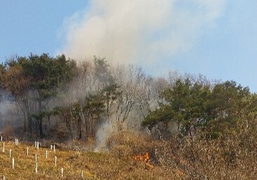진주 야산서 산불…1시간여 만에 주불 진화
