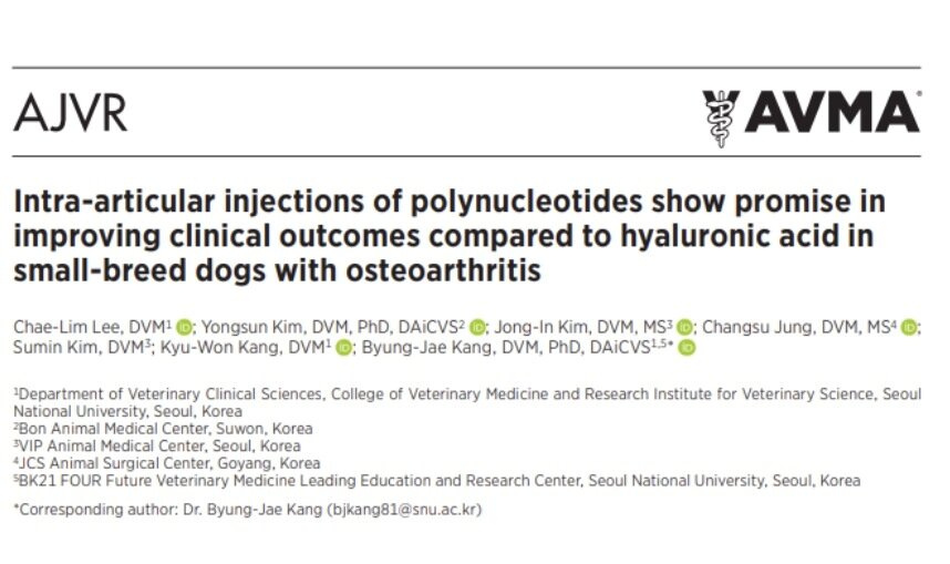 본문 이미지 - 미국수의사회 학술지에 게재된 폴리뉴클레오타이드 관절주사 연구 논문 발췌(정창수외과동물병원 제공) ⓒ 뉴스1