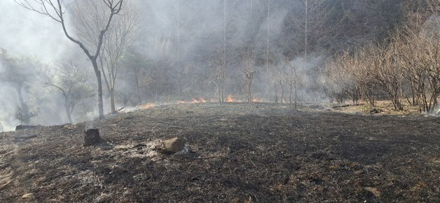 양평 서종면 산불 2시간여 만에 진화…한때 '사전 대피' 권고(종합)