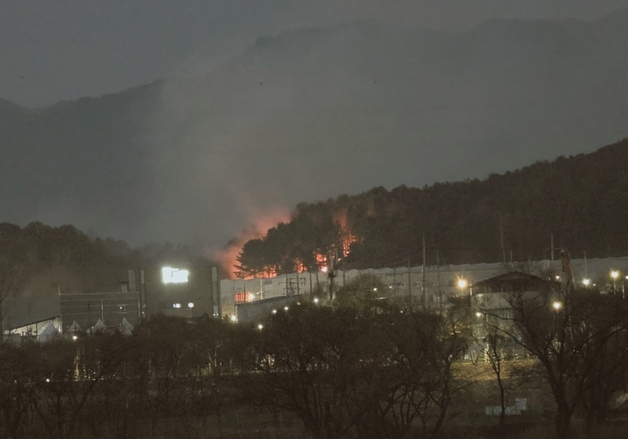 춘천 장학리 산불 50분 만에 진화…뒷불 감시 중(종합)