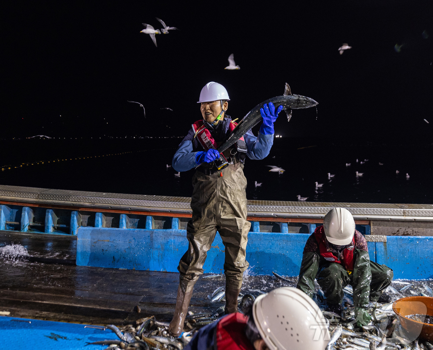 (서울=뉴스1) = 정청래 더불어민주당 대표가 28일 경북 영덕군 해역에서 조업 현장 체험을 하고 있다. (더불어민주당 제공. 재판매 및 DB 금지) 2026.3.28/뉴스1