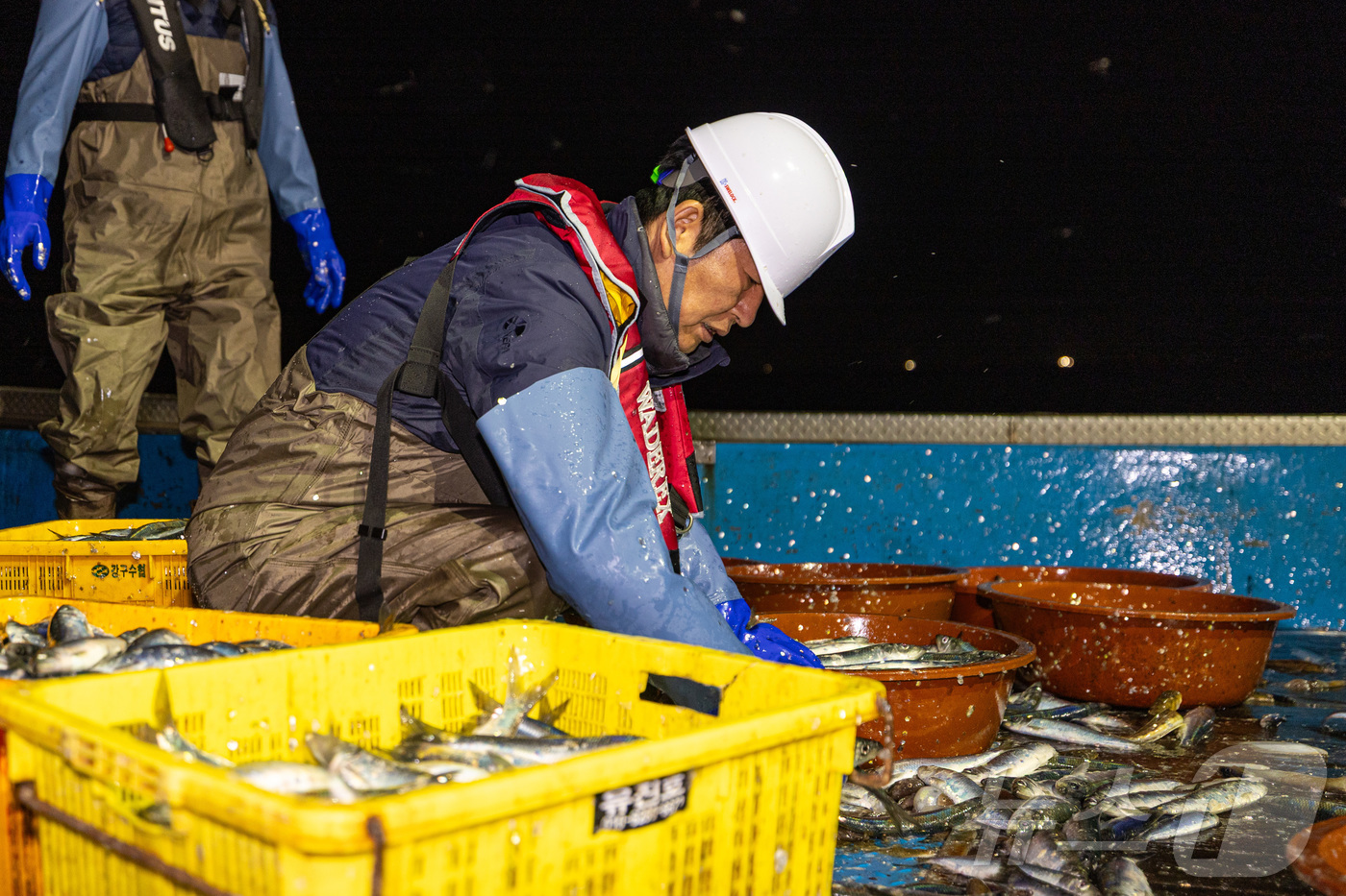 (서울=뉴스1) = 정청래 더불어민주당 대표가 28일 경북 영덕군 해역에서 조업 현장 체험을 하고 있다. (더불어민주당 제공. 재판매 및 DB 금지) 2026.3.28/뉴스1