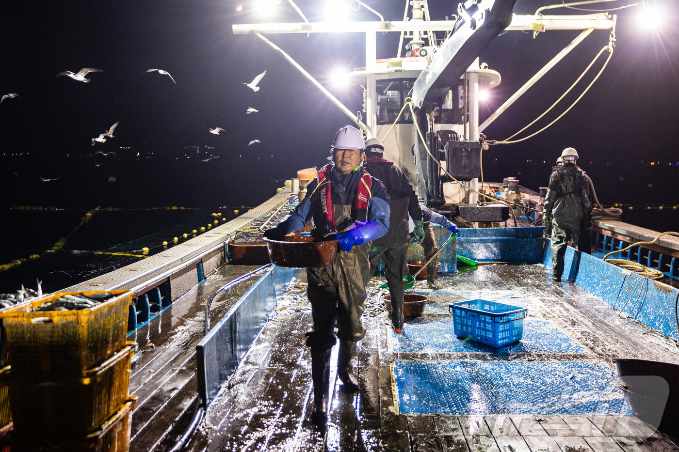 (서울=뉴스1) = 정청래 더불어민주당 대표가 28일 경북 영덕군 해역에서 조업 현장 체험을 하고 있다. (더불어민주당 제공. 재판매 및 DB 금지) 2026.3.28/뉴스1