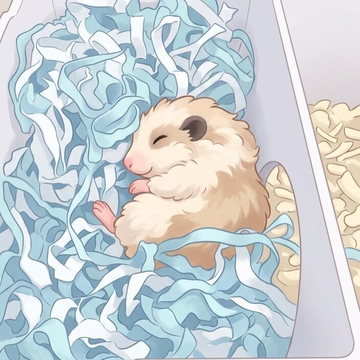 본문 이미지 - 지난 15일 보호자는 골무가 편안하게 눈을 감았다는 소식을 전했다(인스타그램 golmu.ham 제공) ⓒ 뉴스1