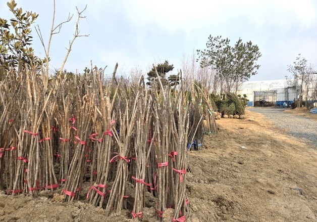 옥천군, 묘목전후방산업 육성사업 참여기업 모집