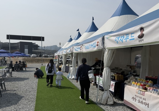 '영월 청령포 여전히 인기' 포근한 날씨에 관광지마다 나들이객 북적