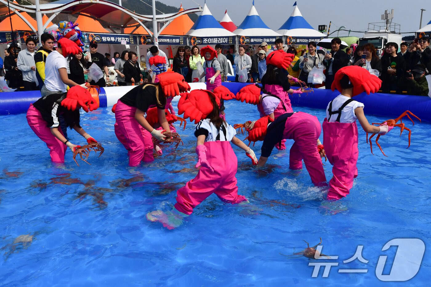 본문 이미지 - 29일 제29회 경북 영덕대게축제가 열린 강구항 해파랑공원에서 가족과 함께 온 어린이들이 대게 맨손잡기 체험을 하고 있다. 2026.3.29 ⓒ 뉴스1 최창호 기자