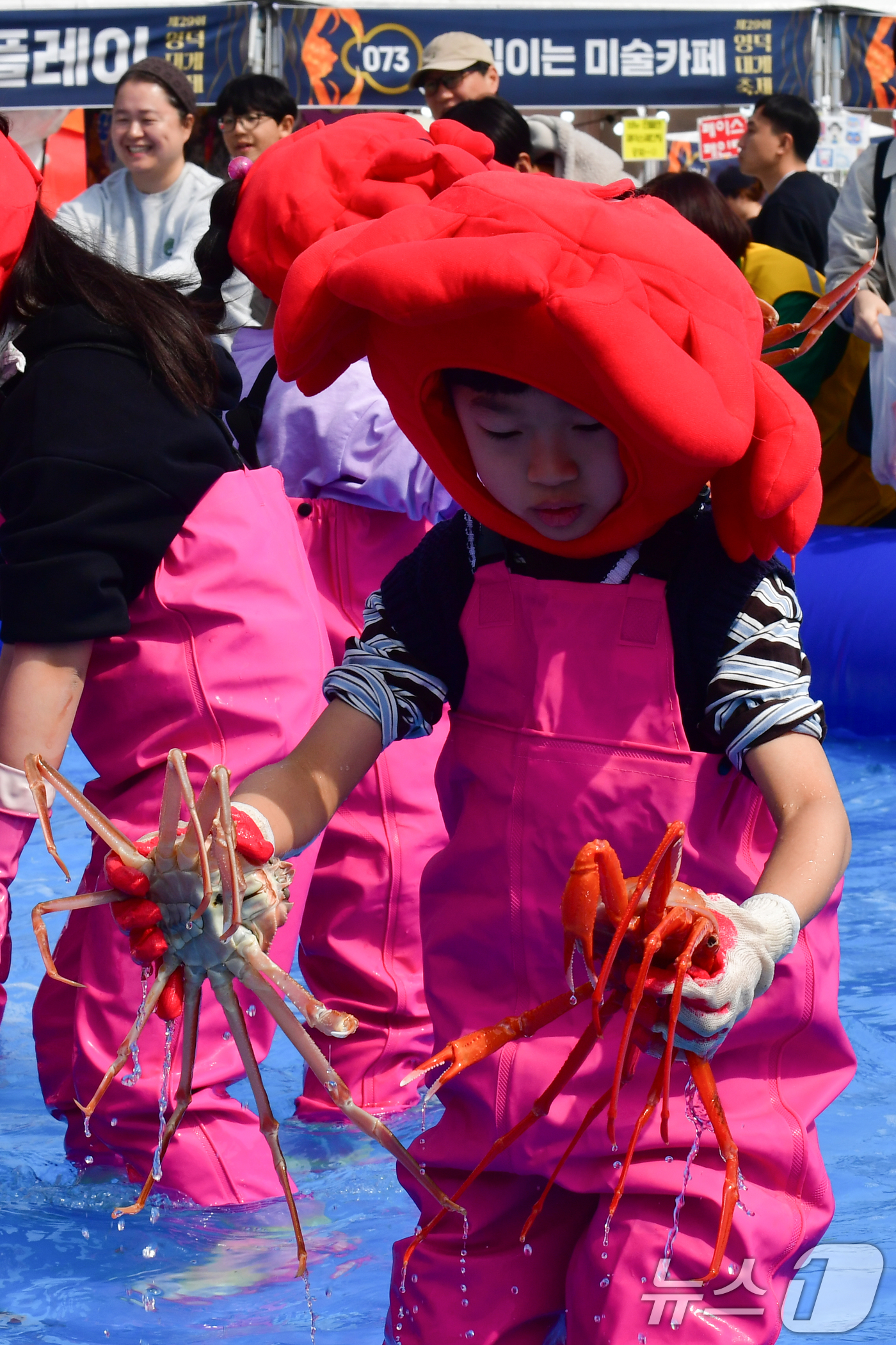 (영덕=뉴스1) 최창호 기자 = 29일 제29회 경북 영덕대게축제가 열린 강구항 해파랑공원에서 가족과 함께 온 어린이들이 대게 맨손잡기 체험을 하고 있다. 2026.3.29/뉴스1 …