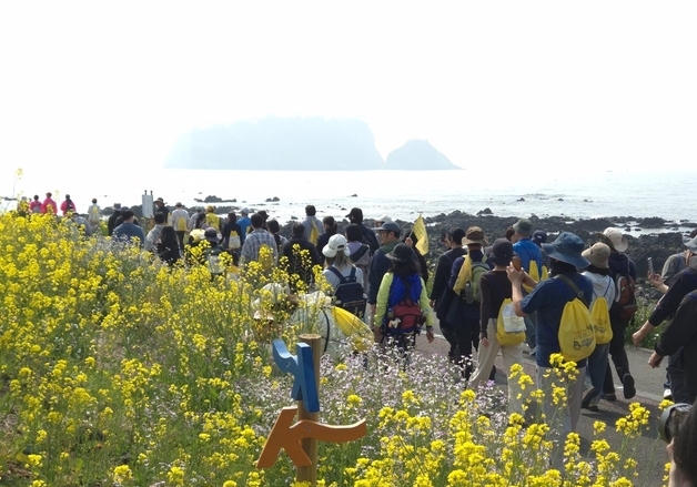 제주 봄꽃 축제마다 상춘객 붐벼…올해 관광객 300만명 돌파