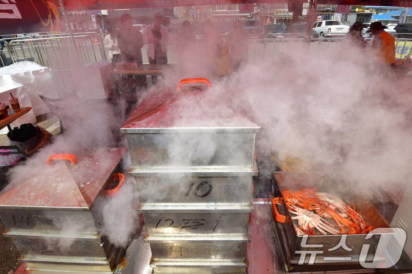 본문 이미지 - 29일 제29회 경북 영덕대게축제가 열린 강구항 해파랑공원 곳곳에서는 대게를 찌는 수증기로 가득하다  2026.3.29 ⓒ 뉴스1 최창호 기자