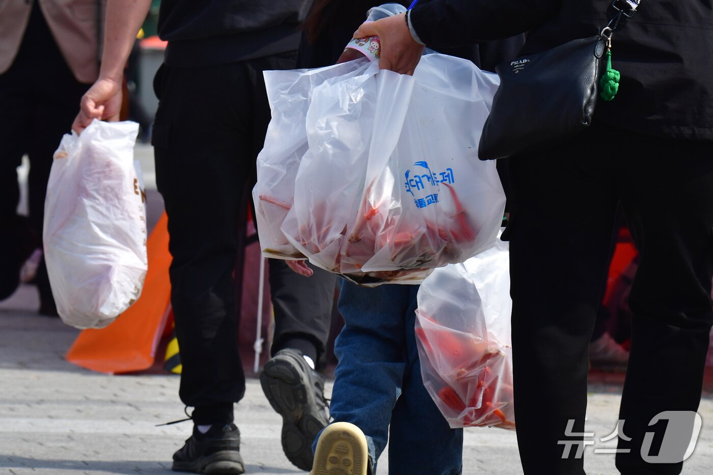 본문 이미지 - 29일 제29회 경북 영덕대게축제가 열린 강구항 해파랑공원에 마련된 대게 직판장에서 양손 가득 대게를 구입힌  관광객들이 걸어가고 있다.  2026.3.29 ⓒ 뉴스1 최창호 기자 