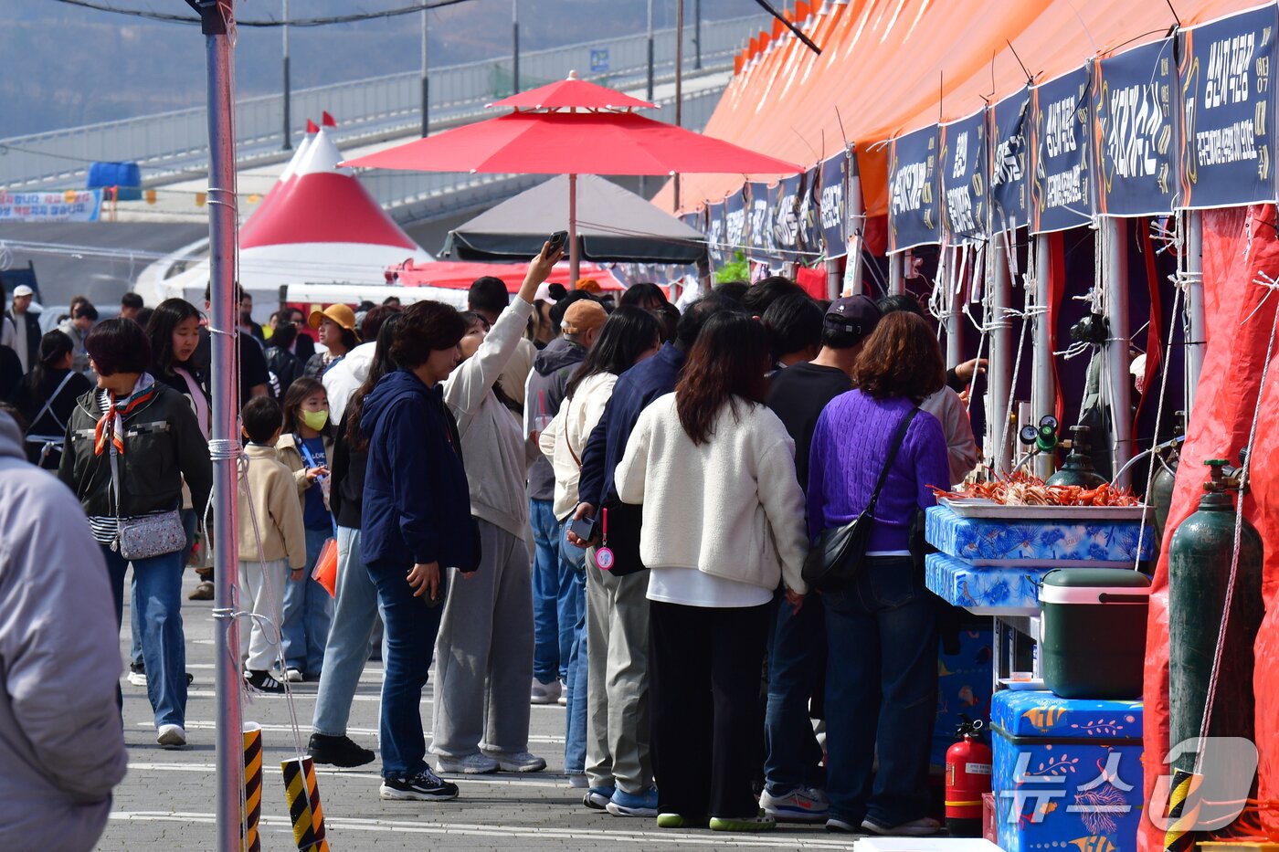 본문 이미지 - 29일 제29회 경북 영덕대게축제가 열린 강구항 해파랑공원에 마련된 대게 직판장에서 관광객들이 가격 흥정을 하고 있다.  2026.3.29 ⓒ 뉴스1 최창호 기자 