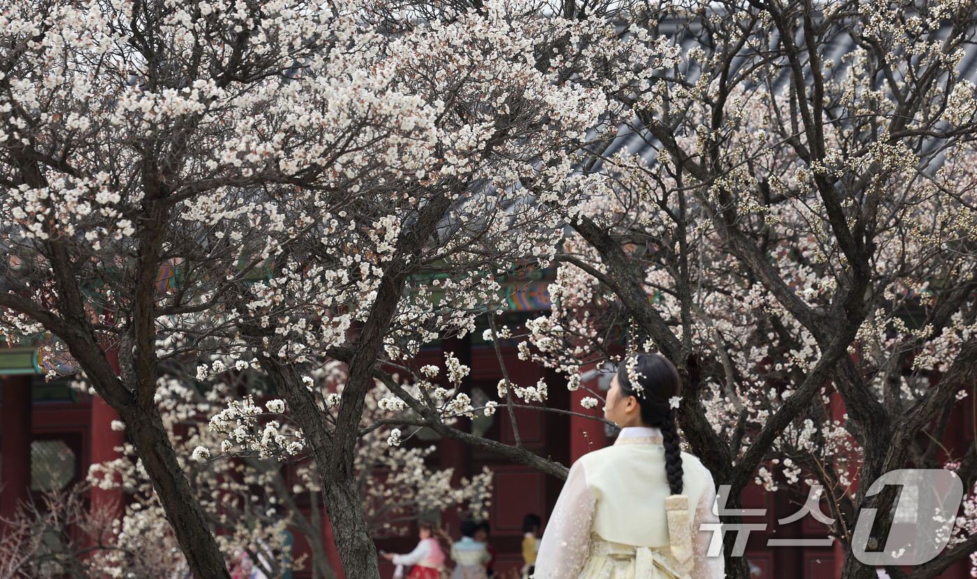 (서울=뉴스1) 박지혜 기자 = 포근한 날씨를 보인 29일 서울 종로구 경복궁을 찾은 외국인관광객들이 봄꽃을 배경으로 추억을 남기고 있다. 2026.3.29/뉴스1