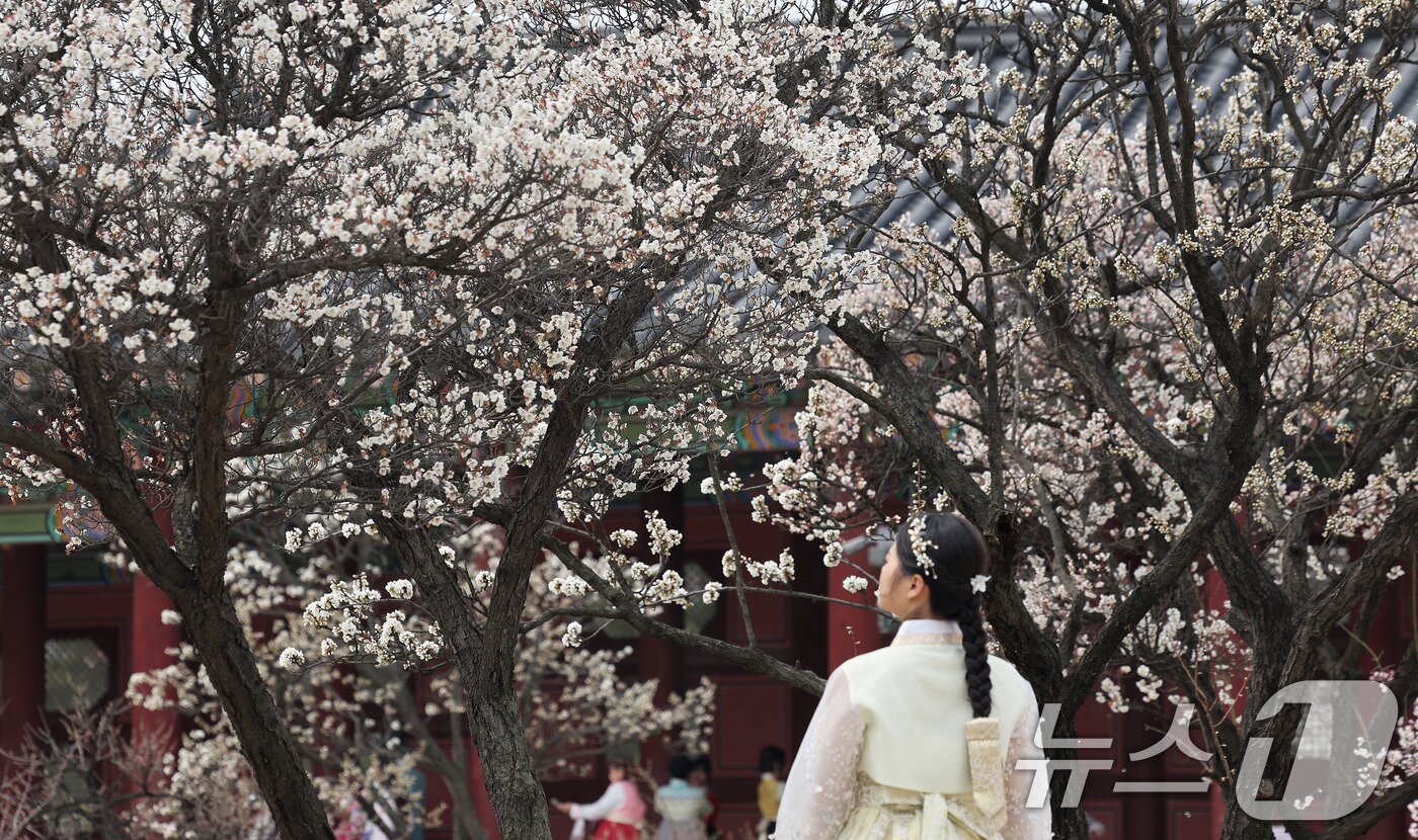 본문 이미지 - 포근한 날씨를 보인 29일 서울 종로구 경복궁을 찾은 외국인관광객들이 봄꽃을 배경으로 추억을 남기고 있다. 2026.3.29 ⓒ 뉴스1 박지혜 기자