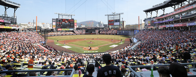 '프로야구 폭발 인기'에 암표도 1만 6000여 건 확인…수사 의뢰