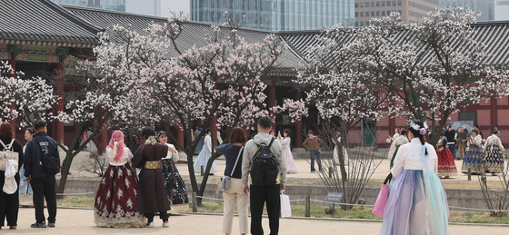 봄꽃 핀 경복궁