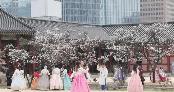 경복궁에 핀 봄꽃