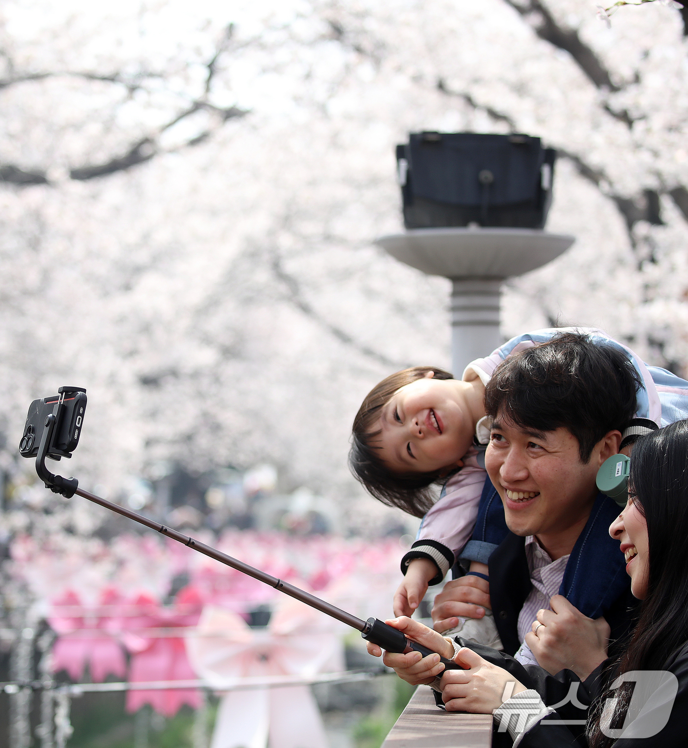 (창원=뉴스1) 윤일지 기자 = 전국 최대 벚꽃 축제인 '제64회 진해군항제'가 열리고 있는 29일 경남 창원 진해구 여좌천 일대에서 한 가족이 벚꽃을 구경하며 추억을 쌓고 있다. …