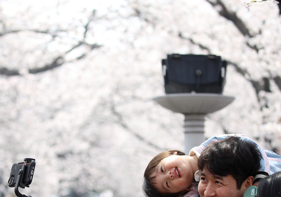 진해군항제서 쌓는 추억