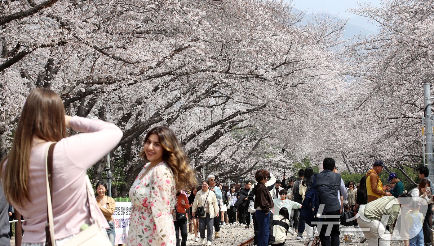 본문 이미지 - 전국 최대 벚꽃 축제인 '제64회 진해군항제'가 열리고 있는 29일 경남 창원 진해구 경화역공원에서 관광객들이 벚꽃을 감상하고 있다. 2026.3.29 ⓒ 뉴스1 윤일지 기자