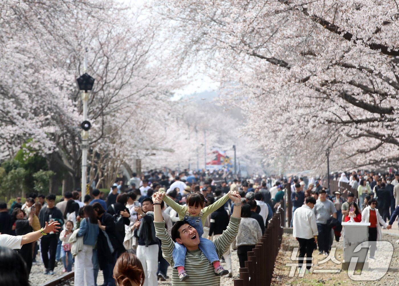 본문 이미지 - 전국 최대 벚꽃 축제인 '제64회 진해군항제'가 열리고 있는 29일 경남 창원 진해구 경화역공원에서 관광객들이 벚꽃을 감상하고 있다. 2026.3.29 ⓒ 뉴스1 윤일지 기자