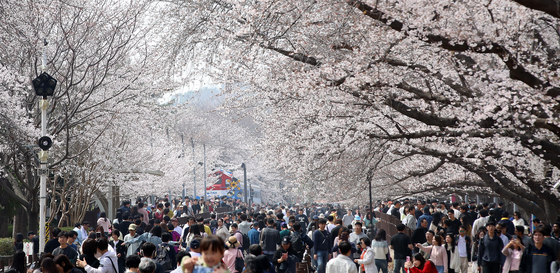 '봄봄봄 봄이 왔어요'