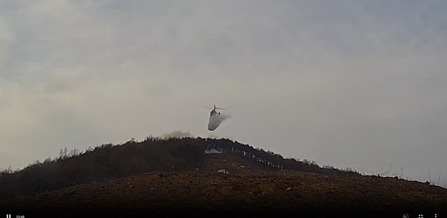 경북 경주 외동읍 산불…50여분 만에 진화(종합)