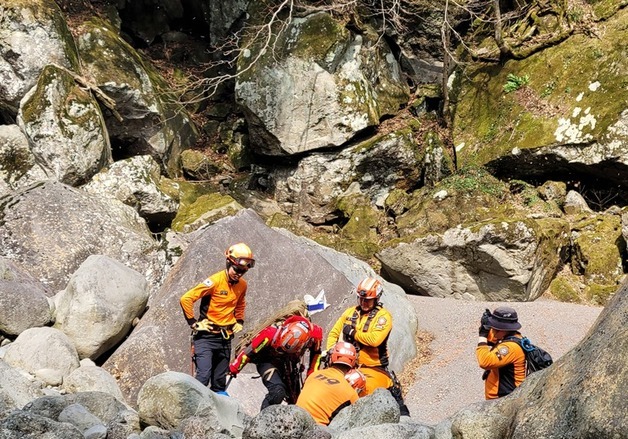 제주 숲길서 50대 등반객 5m 높이 추락…다리 골절