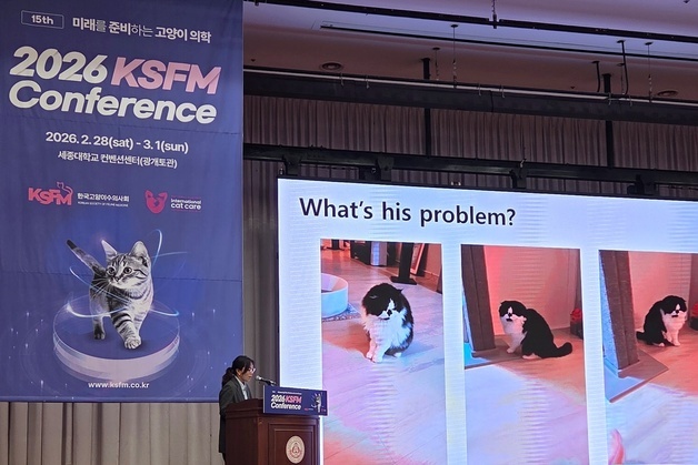 보호자 손길 피하던 고양이…솔렌시아 주사 맞고 애교냥이 됐다