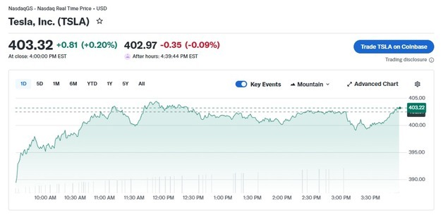 중국 전기차 판매 급감, 테슬라 0.20% 상승
