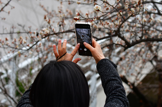 봄의 시작을 담고 싶어요
