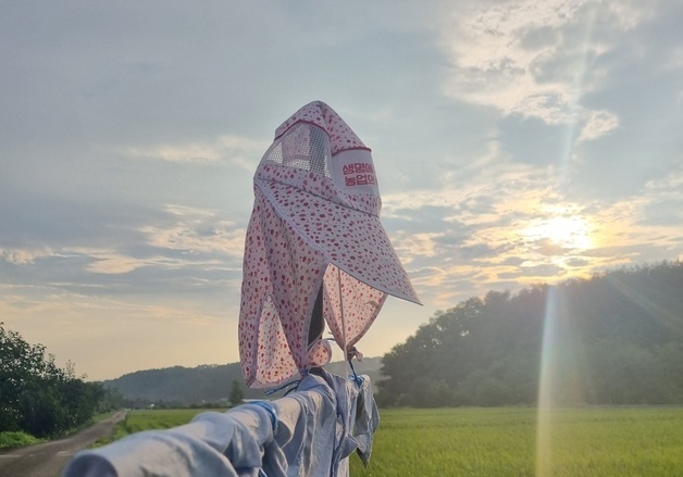 강릉시, 농업분야 지원사업 52억 투입…대상자 확정