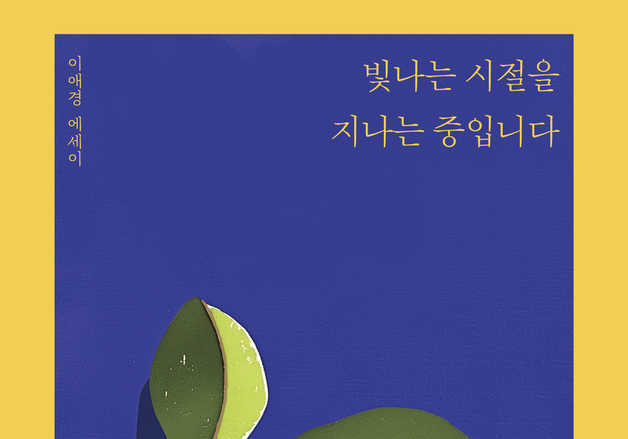 "인생은 아포가토…공허·불안·기쁨, 서른 이후 선명해진 마음을 담다"
