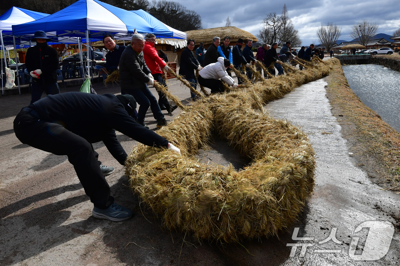 (경주=뉴스1) 최창호 기자 = 정월대보름날인 3일 오후 유네스코 세계문화유산인 경북 경주시 양동민속마을에서 윗마을과 아랫마을간의 줄다리기 시합애 사용할 줄을 주민과 관광객들이 준 …