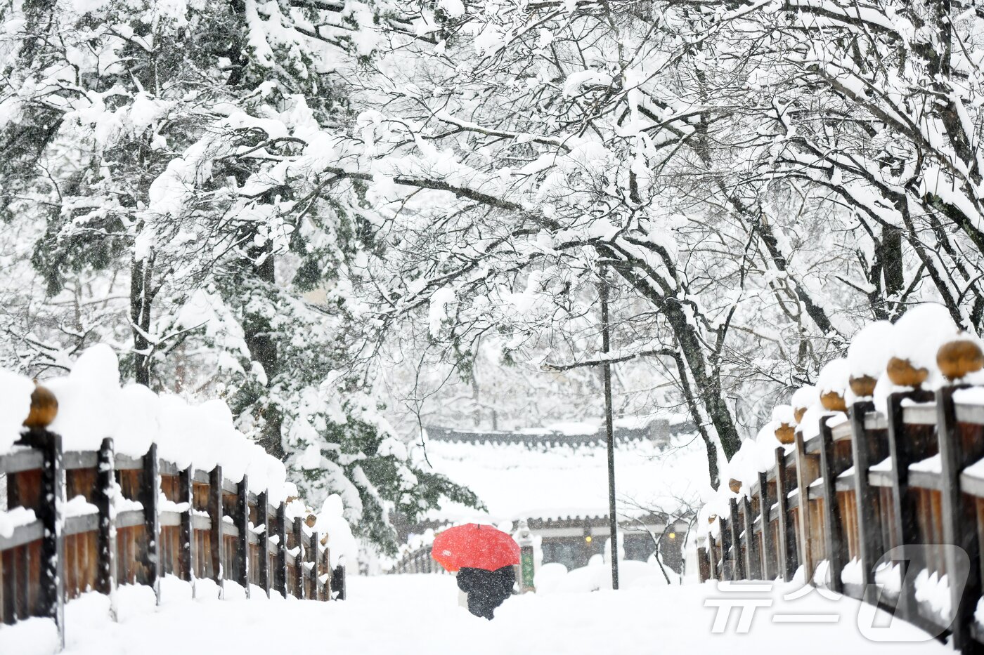 본문 이미지 - 3일 폭설이 내린 강원 속초시 설악산 소공원에 멋진 설경이 연출되고 있다.(속초시 제공, 재판매 및 DB 금지) 2026.3.3 ⓒ 뉴스1 
