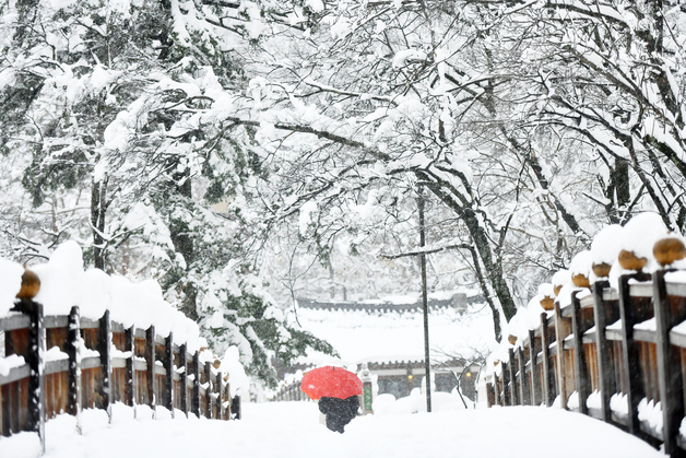 내일 전국 최대 20㎜ 비, 중부엔 눈…미세먼지 '나쁨'