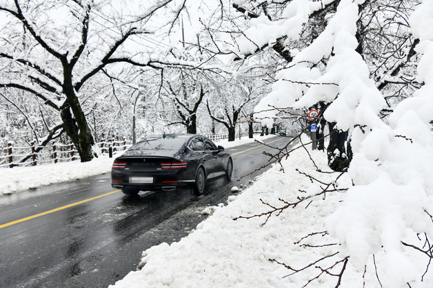 3월에 웬 '20㎝ 눈폭탄'…내일 강원 산지 폭설·빙판길 '비상'(종합)