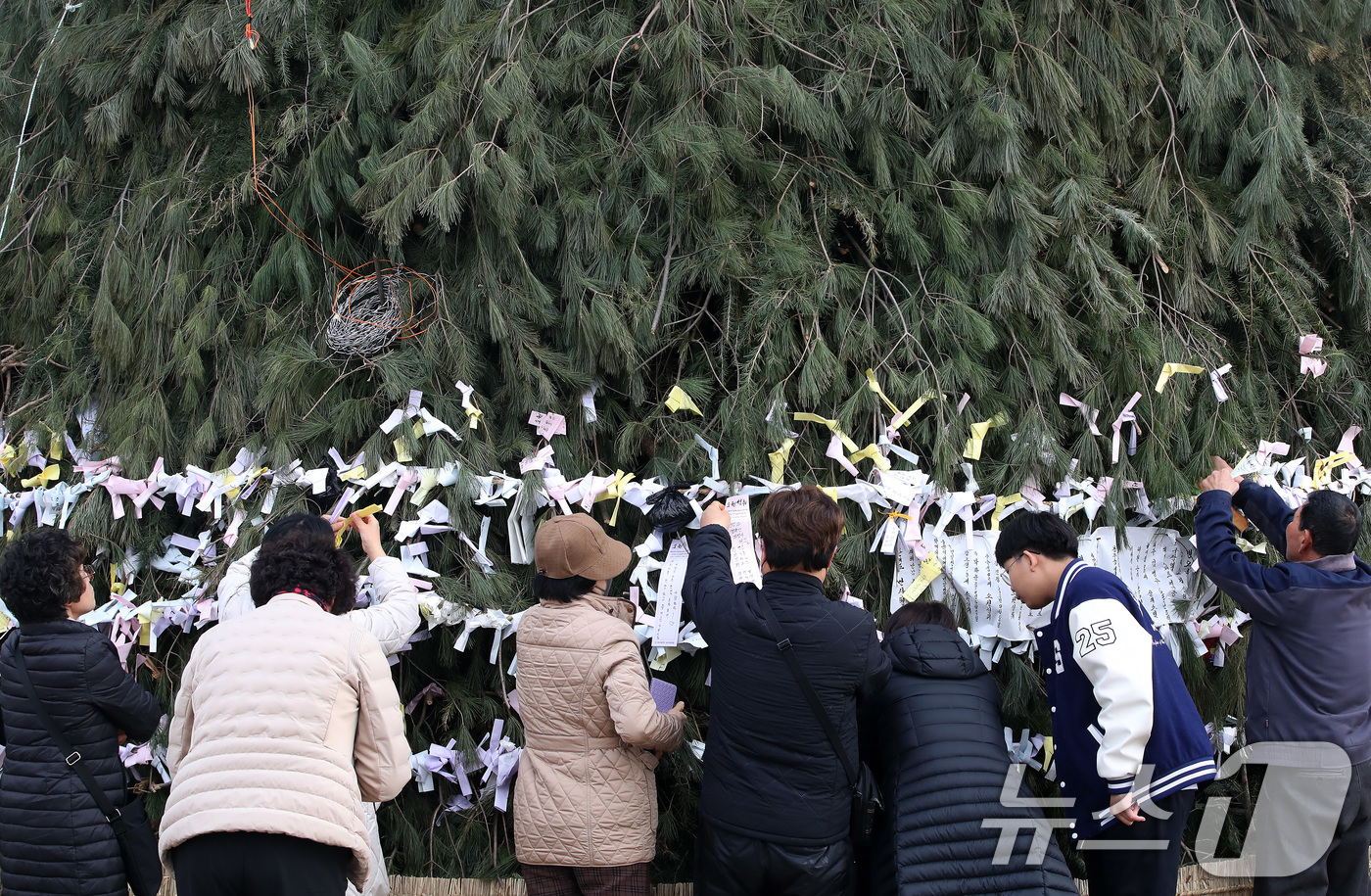 (대구=뉴스1) 공정식 기자 = 정월대보름인 3일 오후 대구 북구 금호강 둔치에서 열린 '금호강 정월대보름 축제'를 찾은 시민들이 달집태우기를 앞두고 달집에 소원지를 매달며 새해 …