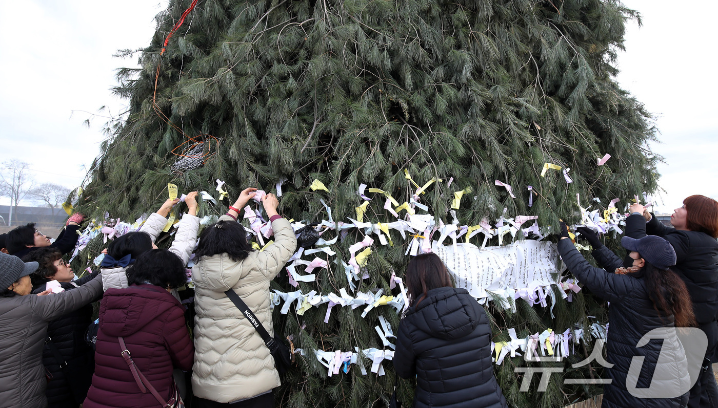 (대구=뉴스1) 공정식 기자 = 정월대보름인 3일 오후 대구 북구 금호강 둔치에서 열린 '금호강 정월대보름 축제'를 찾은 시민들이 달집태우기를 앞두고 달집에 소원지를 매달며 새해 …